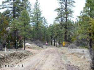 1811 Toad Stool Rd, Overgaard, AZ 85933 photo 3