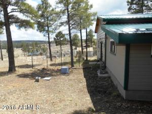 1811 Toad Stool Rd, Overgaard, AZ 85933 photo 45