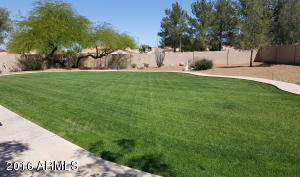 635 S Jacob St, Gilbert, AZ 85296 photo 34
