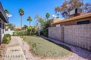 905 Escuda Dr, Phoenix, AZ 85024 photo 5