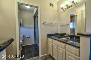 939 E Carmen St, Tempe, AZ 85283 photo 20