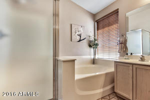 3910 E Tremaine Ave, Gilbert, AZ 85234 photo 32