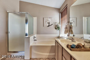 3910 E Tremaine Ave, Gilbert, AZ 85234 photo 5