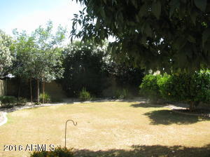 4721 E Charleston Ave, Phoenix, AZ 85032 photo 18