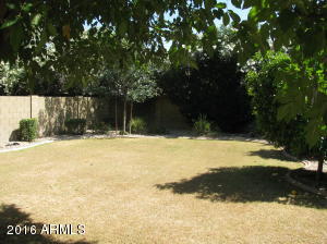 4721 E Charleston Ave, Phoenix, AZ 85032 photo 16