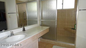 5217 Elena Cir, Mesa, AZ 85206 photo 16