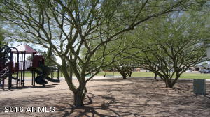 5217 Elena Cir, Mesa, AZ 85206 photo 44