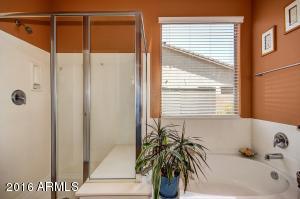 1916 E Azalea Ct, Gilbert, AZ 85298 photo 27