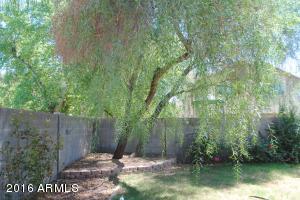 3721 E Orchid Ct, Gilbert, AZ 85296 photo 12