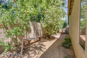424 S Gibson St, Gilbert, AZ 85296 photo 50