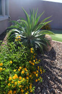 8714 E Nance St, Mesa, AZ 85207 photo 23