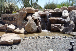 8714 E Nance St, Mesa, AZ 85207 photo 31