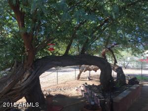 1143 S Lawson Dr, Apache Junction, AZ 85120 photo 20