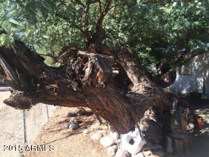1143 S Lawson Dr, Apache Junction, AZ 85120 photo 19