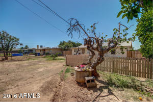427 S Fraser Dr, Mesa, AZ 85204 photo 21