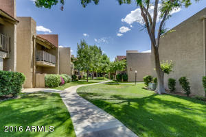 5525 E Thomas Rd #Q1, Phoenix, AZ 85018 photo 24