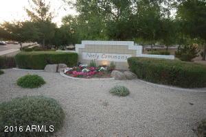 972 S Roca St, Gilbert, AZ 85296 photo 50