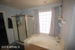 972 S Roca St, Gilbert, AZ 85296 photo 38