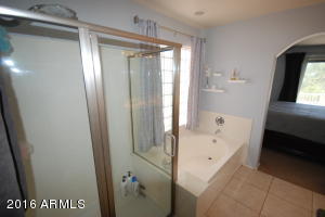 972 S Roca St, Gilbert, AZ 85296 photo 39