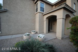 972 S Roca St, Gilbert, AZ 85296 photo 5