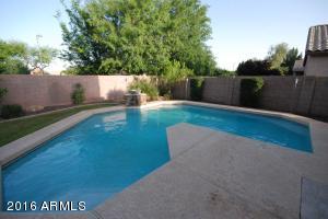 972 S Roca St, Gilbert, AZ 85296 photo 10