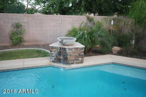 972 S Roca St, Gilbert, AZ 85296 photo 8