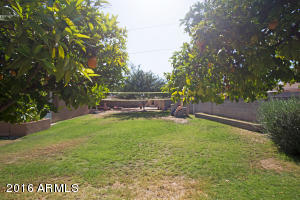 3036 E Desert Cove Ave, Phoenix, AZ 85028 photo 27