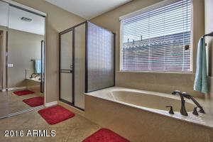 2458 E Anika Dr, Gilbert, AZ 85298 photo 10