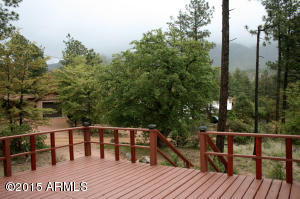 5088 N Spruce Dr, Pine, AZ 85544 photo 14