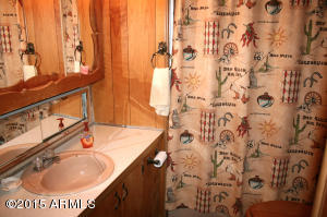 5088 N Spruce Dr, Pine, AZ 85544 photo 10