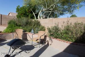 4332 E Swilling Rd, Phoenix, AZ 85050 photo 9
