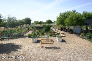 3026 E Tamarisk St, Gilbert, AZ 85296 photo 33