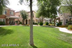 3026 E Tamarisk St, Gilbert, AZ 85296 photo 4
