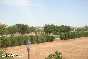 3026 E Tamarisk St, Gilbert, AZ 85296 photo 26