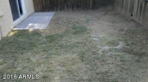 543 E Royal Palms Dr, Mesa, AZ 85203 photo 10