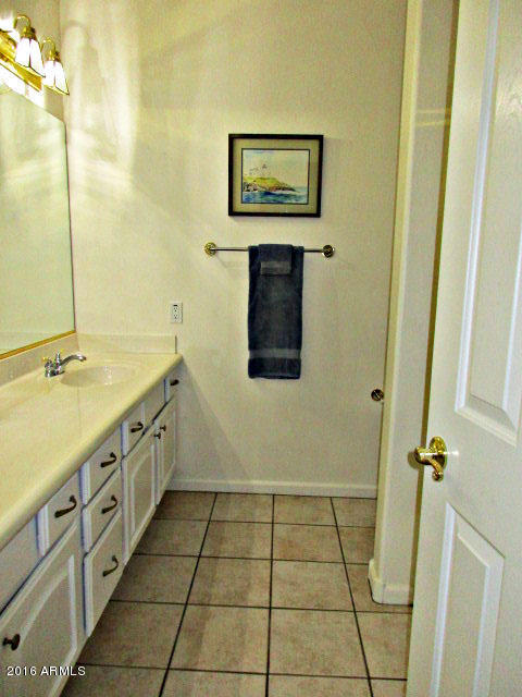 450 S Jared Dr, Gilbert, AZ 85296 photo 19