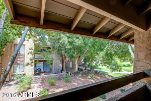 3825 E Camelback Rd #246, Phoenix, AZ 85018 photo 13