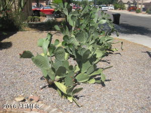 7945 E Hampton Ave, Mesa, AZ 85209 photo 39