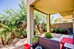 2024 S Baldwin St #12, Mesa, AZ 85209 photo 23