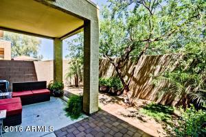 2024 S Baldwin St #12, Mesa, AZ 85209 photo 22