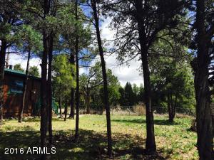 2073 Pinehaven Ln, Overgaard, AZ 85933 photo 10