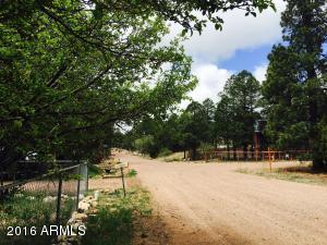 2073 Pinehaven Ln, Overgaard, AZ 85933 photo 20