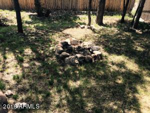 2073 Pinehaven Ln, Overgaard, AZ 85933 photo 8
