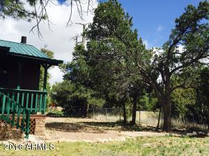 2073 Pinehaven Ln, Overgaard, AZ 85933 photo 18