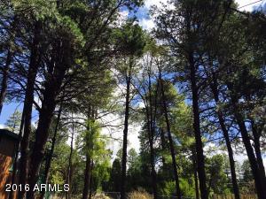 2073 Pinehaven Ln, Overgaard, AZ 85933 photo 12
