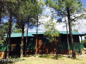 2073 Pinehaven Ln, Overgaard, AZ 85933 photo 9