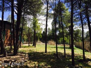 2073 Pinehaven Ln, Overgaard, AZ 85933 photo 11