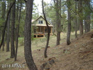 1941 Tall Trees Loop, Forest Lakes, AZ 85931 photo 6