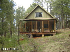 1941 Tall Trees Loop, Forest Lakes, AZ 85931 photo 5