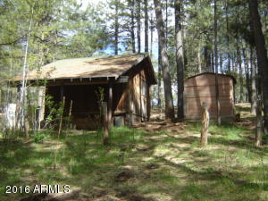 1941 Tall Trees Loop, Forest Lakes, AZ 85931 photo 35
